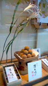 a0079292_20291323.jpg