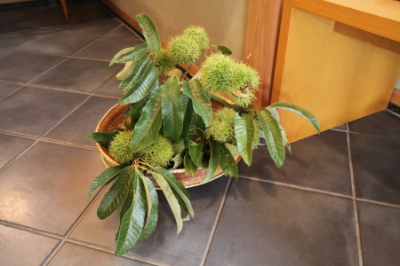 e0176392_1326830.jpg