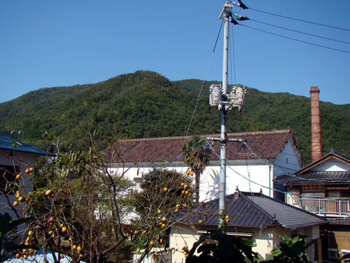 a0047200_18585033.jpg
