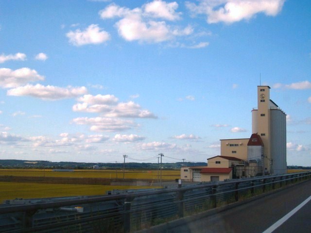 d0121300_353721.jpg