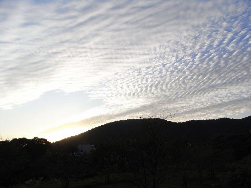 f0187402_20151779.jpg