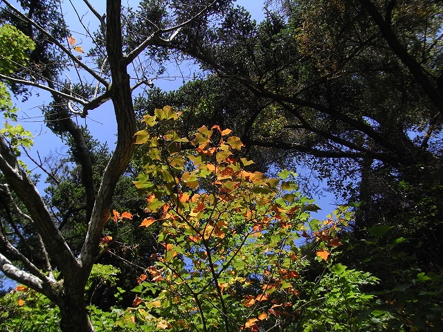 f0187402_20281360.jpg