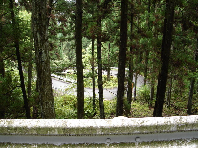 a0116205_23364225.jpg