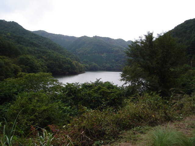 a0116205_23365640.jpg