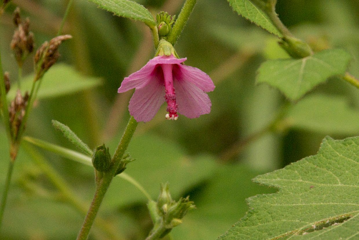 b0174905_845639.jpg