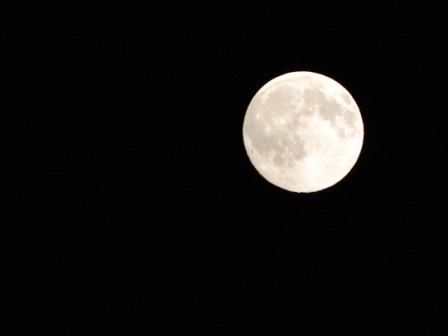 e0166905_225326.jpg