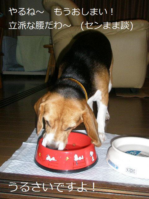 c0205806_2142757.jpg