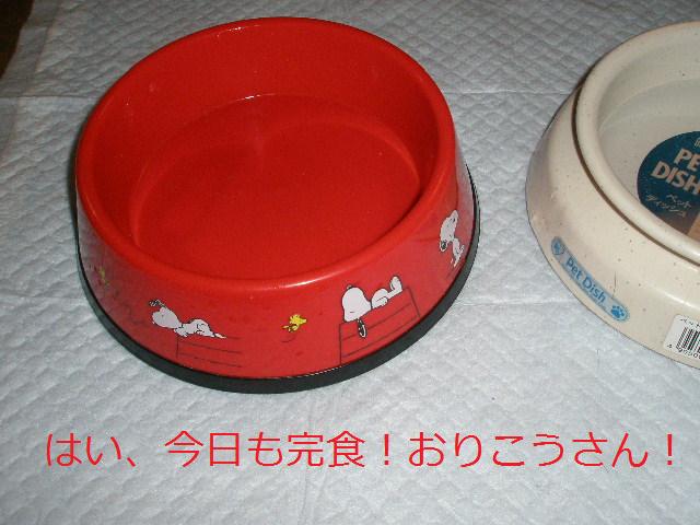 c0205806_2144863.jpg