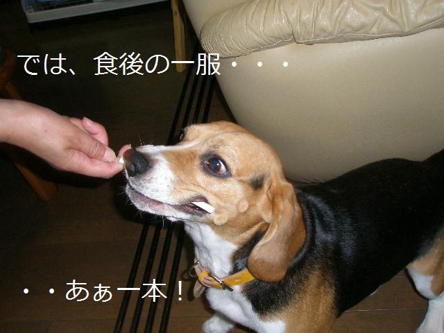 c0205806_21565.jpg