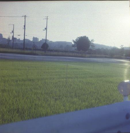 d0071507_1814912.jpg