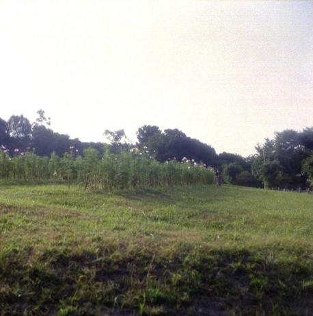 d0071507_1821044.jpg