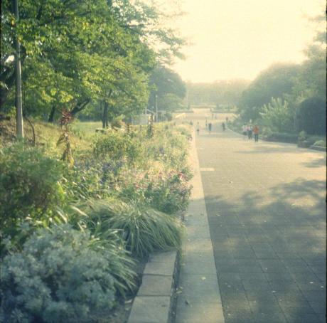 d0071507_182145.jpg