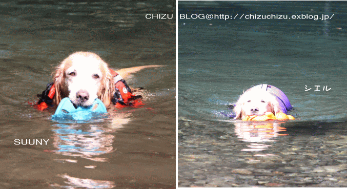 c0017311_201995.gif