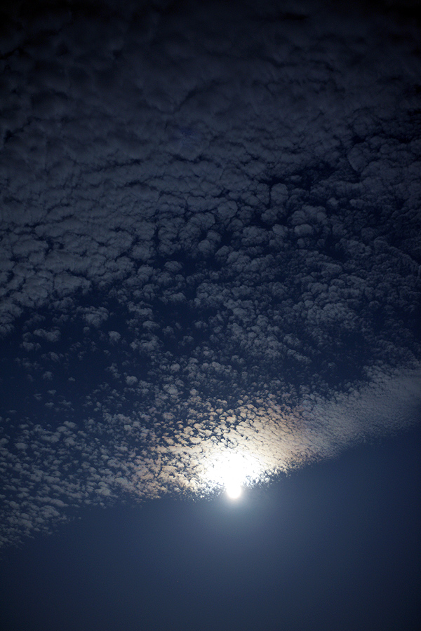 c0115616_4462336.jpg