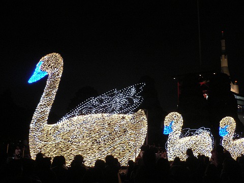 f0117618_1124483.jpg