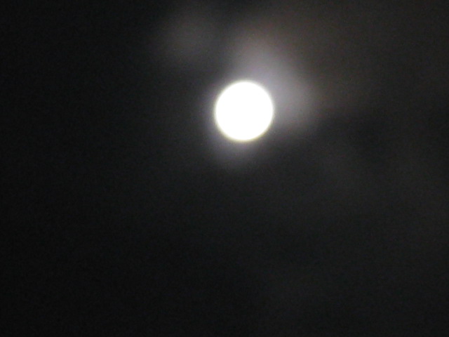 c0197220_7144174.jpg