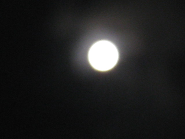 c0197220_720365.jpg