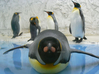 e0148120_9371216.jpg