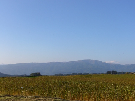e0044421_21295931.jpg