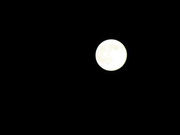 c0201427_21425798.jpg