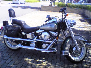 a0099129_22161025.jpg