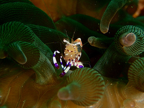 c0034029_21245835.jpg