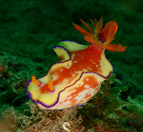 c0034029_21251655.jpg