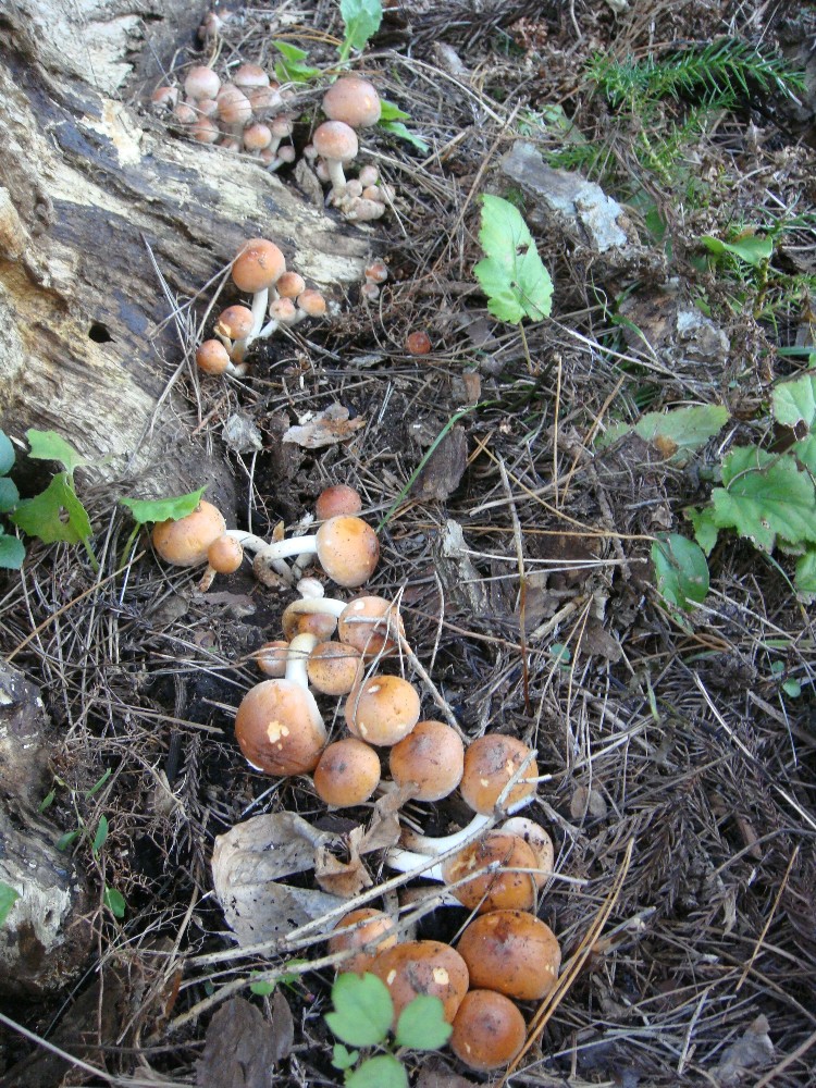 c0111229_18491475.jpg