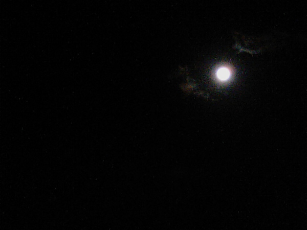 e0037129_0325437.jpg