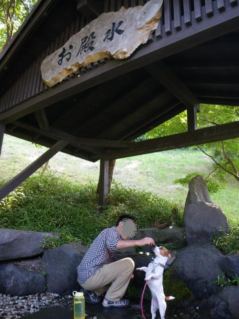 c0035931_205878.jpg