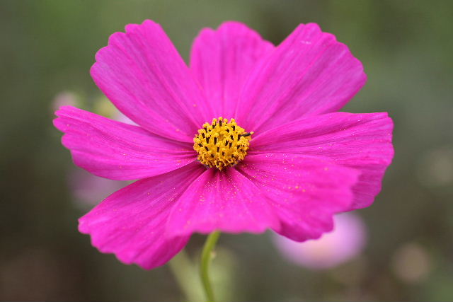 e0064133_2324277.jpg