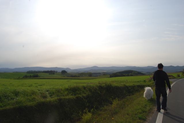 a0057237_042342.jpg