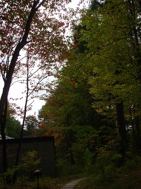 a0046339_13192966.jpg