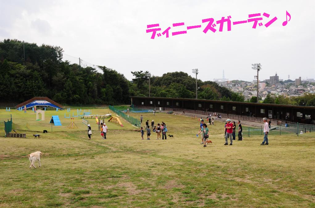 c0147241_21541970.jpg