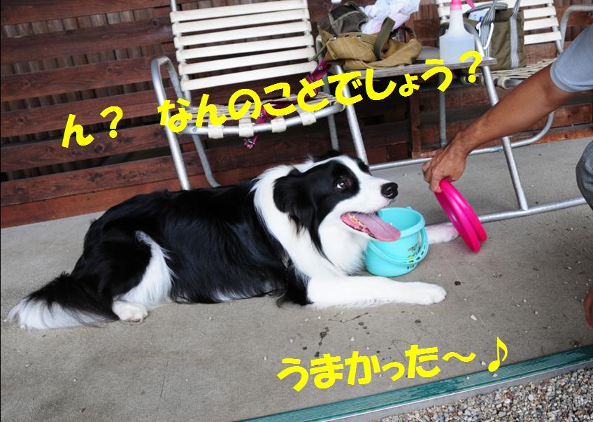 c0147241_21551829.jpg