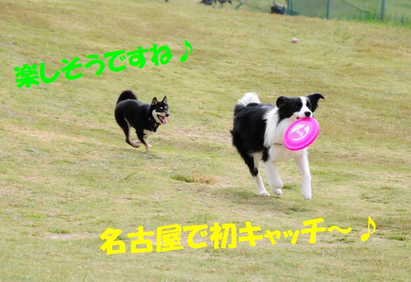c0147241_2155223.jpg