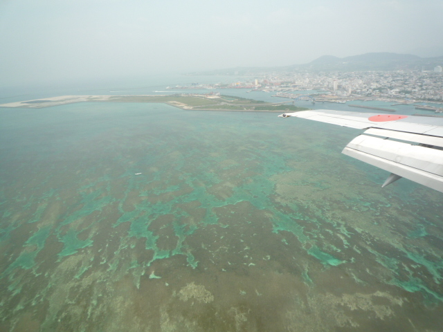 b0041442_205241100.jpg