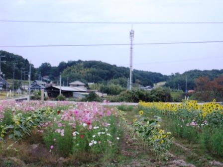 b0162442_1551590.jpg