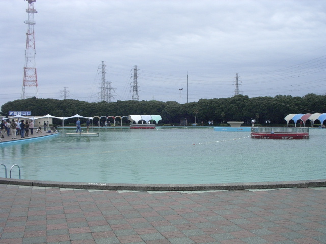 a0054043_926496.jpg