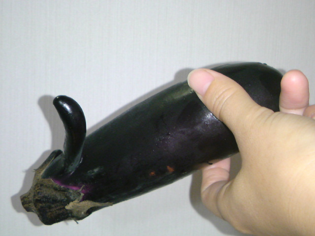 f0174244_1729547.jpg
