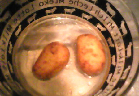 c0170945_1485769.jpg