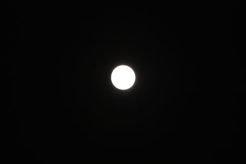 e0192548_11362644.jpg