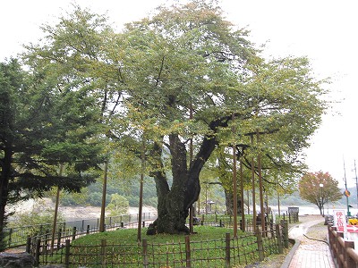 d0031853_3501196.jpg