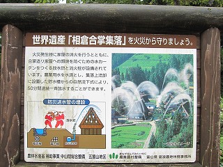 d0031853_4242820.jpg