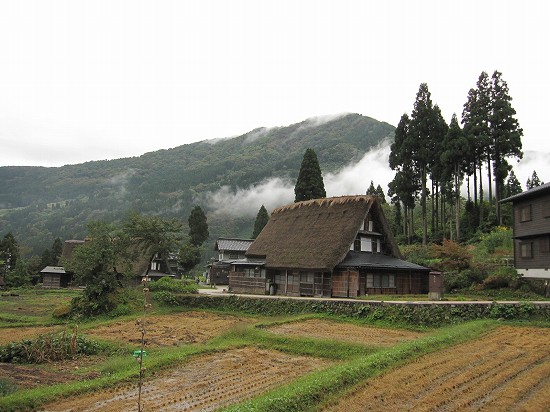 d0031853_4263260.jpg