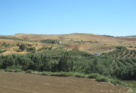 b0173754_11133945.jpg