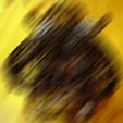 d0029958_19594121.jpg