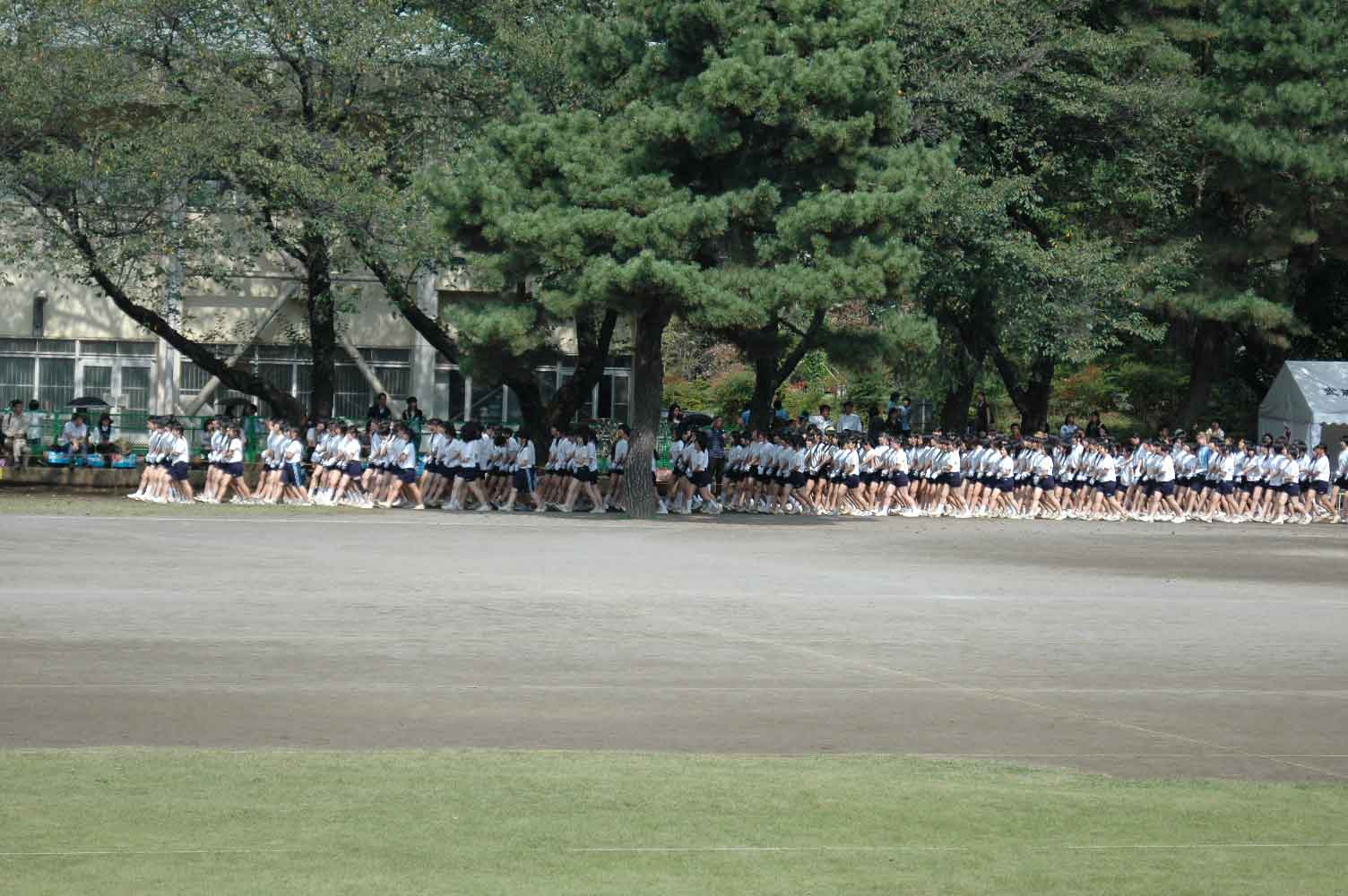 c0198263_1762015.jpg