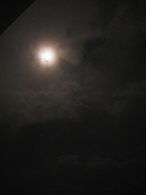 e0158363_7434720.jpg