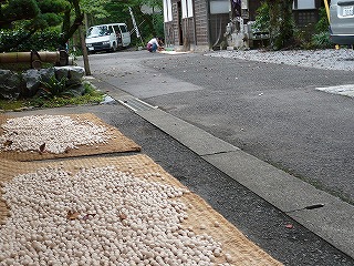 f0106664_6595429.jpg